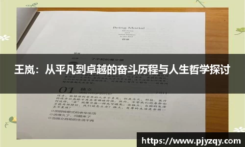 王岚：从平凡到卓越的奋斗历程与人生哲学探讨