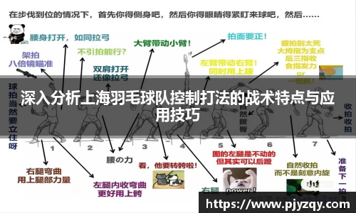 深入分析上海羽毛球队控制打法的战术特点与应用技巧